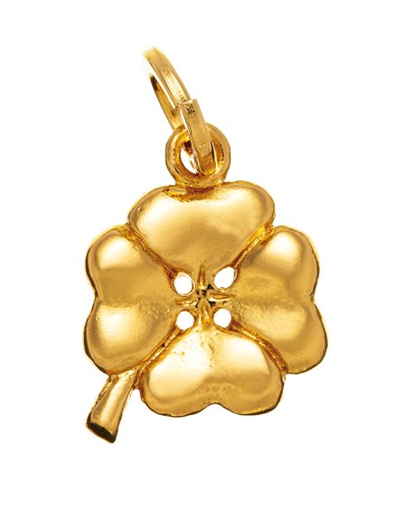 Charm Giovanni Raspini Donna in Argento 08581 - 08581